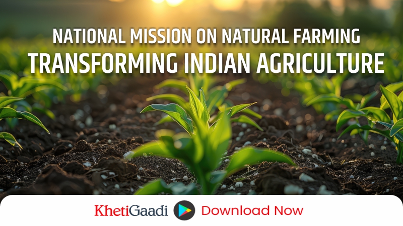 National Mission on Natural Farming in India: A Comprehensive Overview 