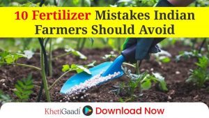 10 Mistakes Farmers Should Avoid While Applying Fertilisers in India