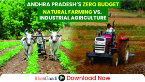 Andhra’s Natural Farming Model: A Blueprint for Feeding the Future 