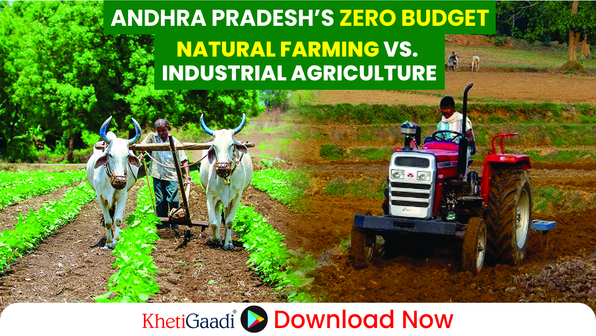 Andhra’s Natural Farming Model: A Blueprint for Feeding the Future 