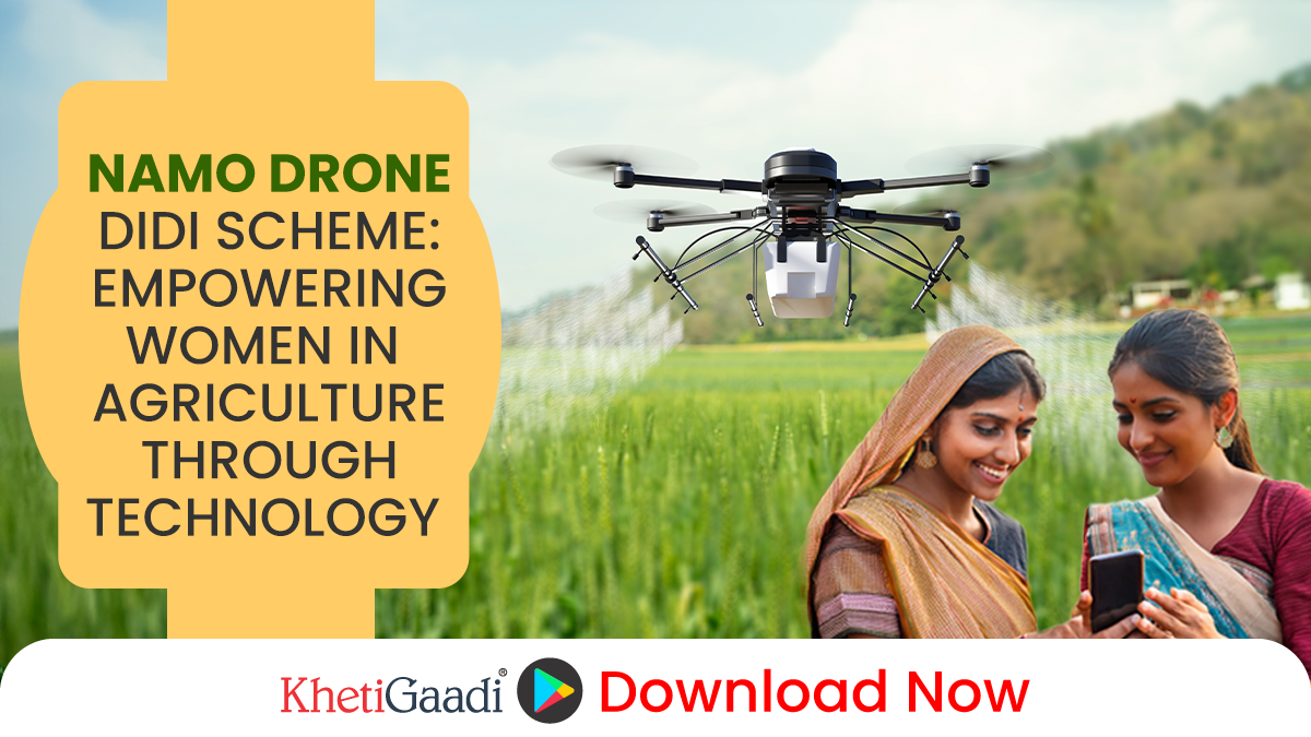 NAMO Drone Didi Scheme: Empowering Women in Agriculture Through Technology 