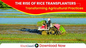 The Rise of Rice Transplanters: Transforming Agricultural Practices