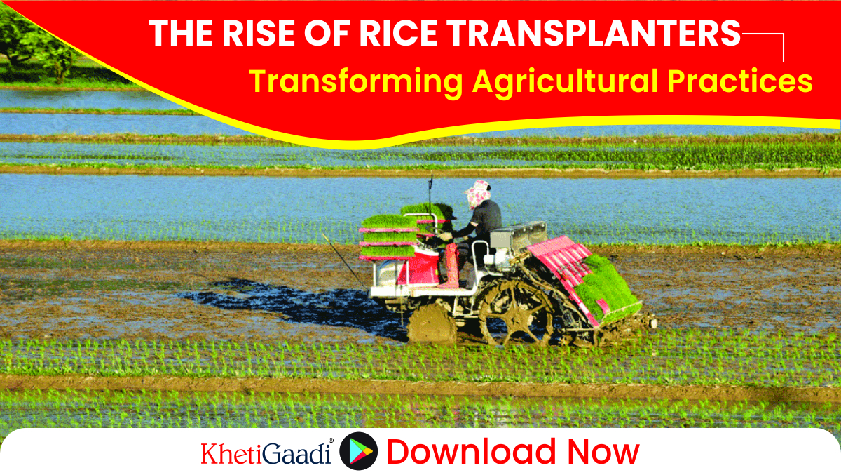 The Rise of Rice Transplanters: Transforming Agricultural Practices