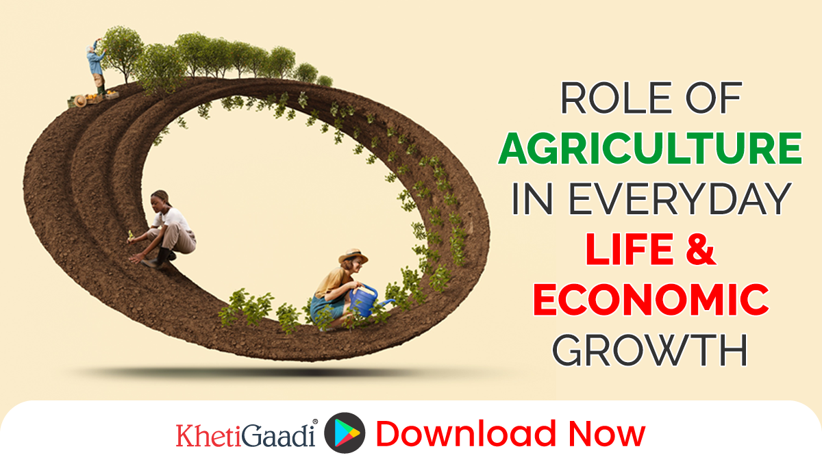 Why Is Agriculture So Important? – Its Role and Benefits in the Indian Economy 