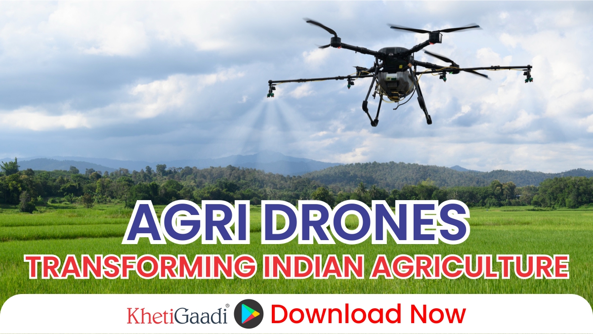 The Transformative Role of Agri Drones in Indian Agriculture 