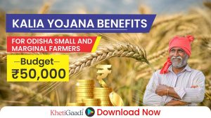KALIA Yojana: Transforming Lives of Farmers in Odisha 
