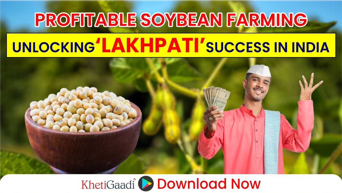 How to Become ‘Lakhpati’ from Soybean Crop Farming? 