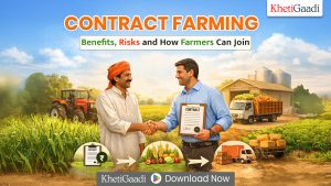 Contract Farming: Benefits, Risks and How Farmers Can Join