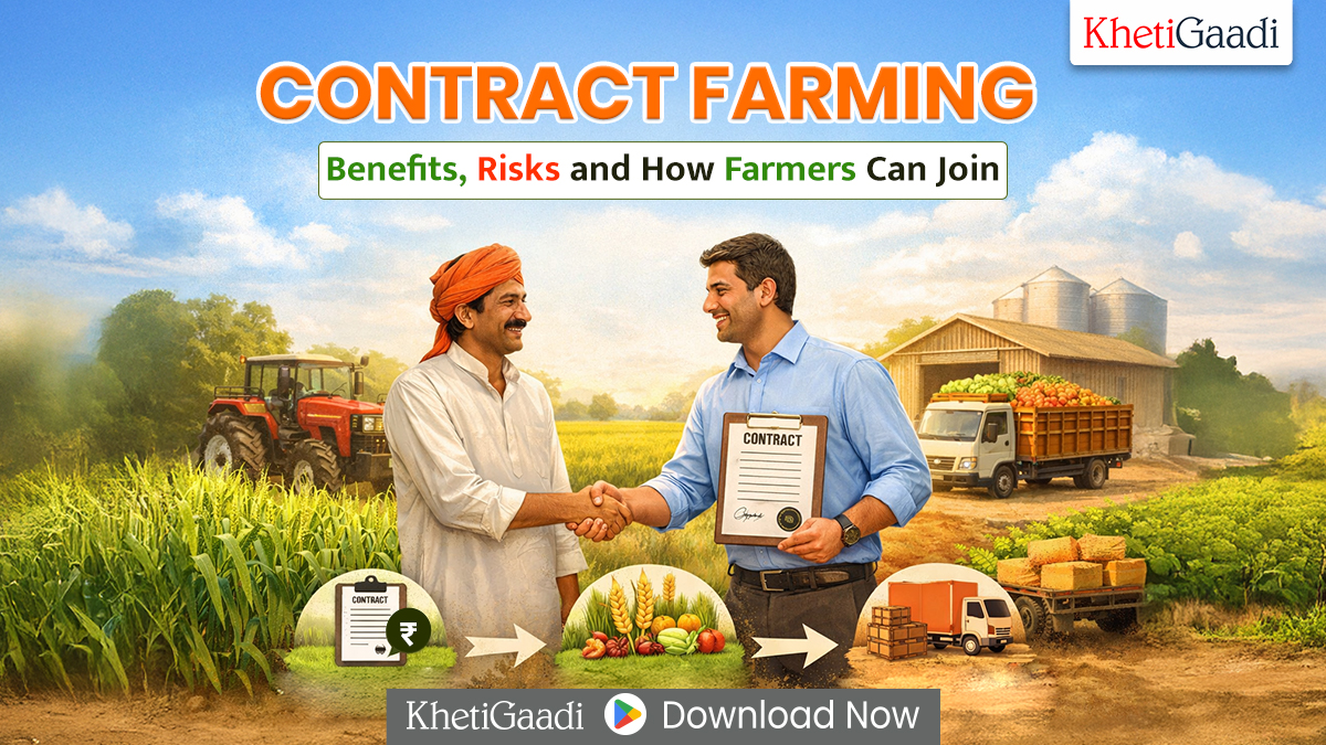 Contract Farming: Benefits, Risks and How Farmers Can Join