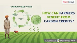 What Are Carbon Credits and How Can Farmers Benefit from Them