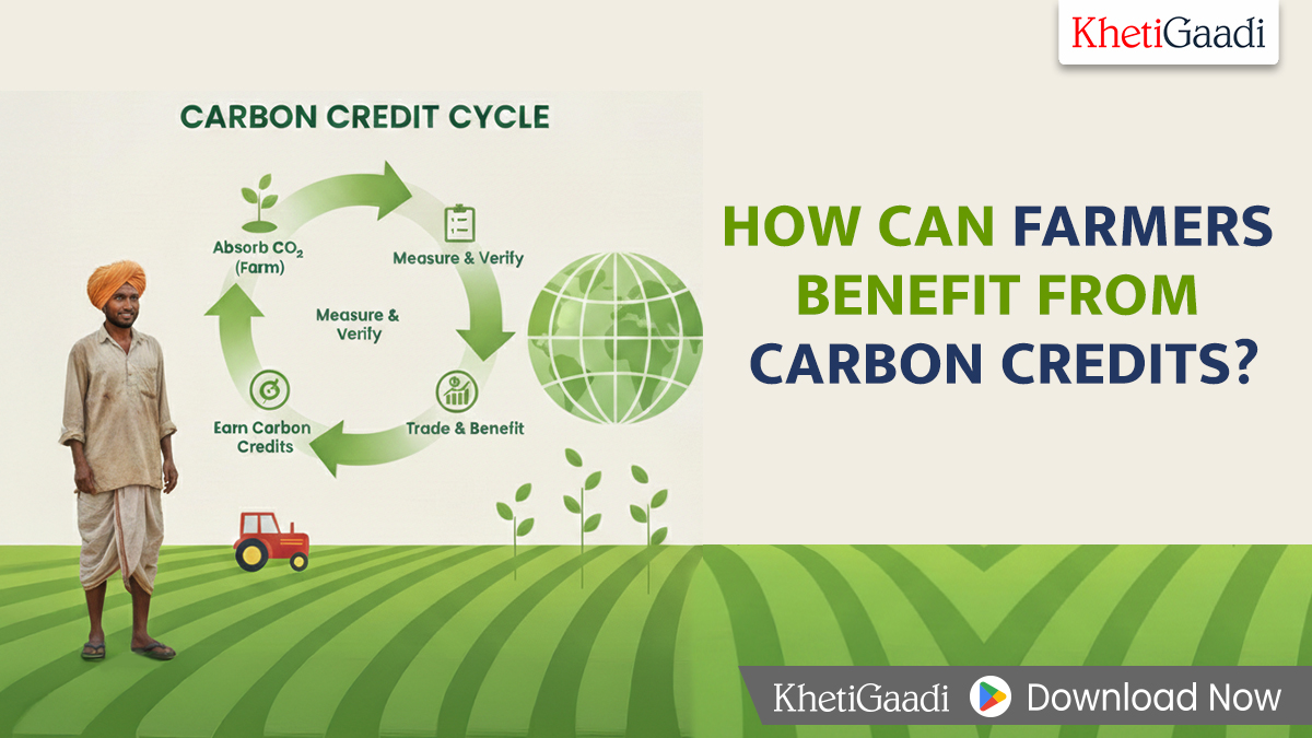 What Are Carbon Credits and How Can Farmers Benefit from Them