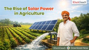 The Rise of Solar Power in Agriculture 