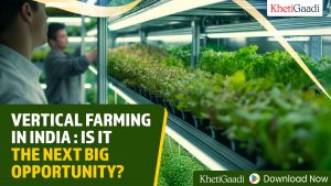 Vertical Farming in India: Is It the Next Big Opportunity?
