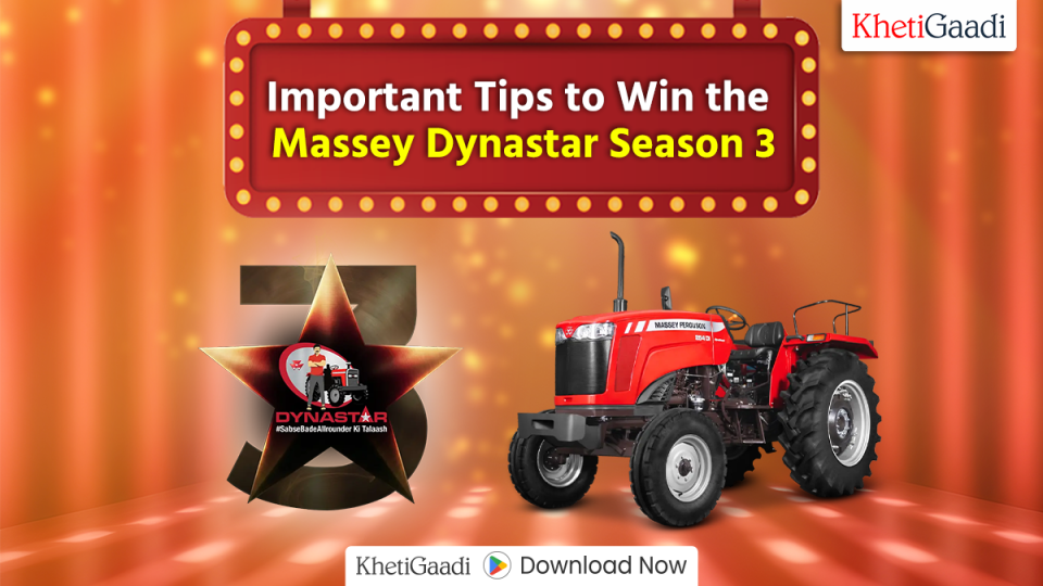 Important Tips to Win the Massey Dynastar Season 3