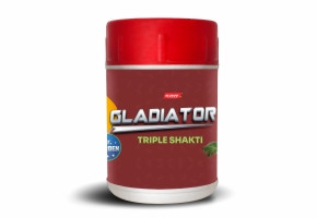 Gladiator-0.jpg