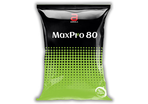 Maxpro_80_Front.jpg