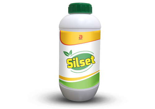 Silset_250.jpg