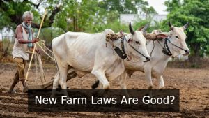 The Rise Of New Farm Laws In The New Era of Market Freedom