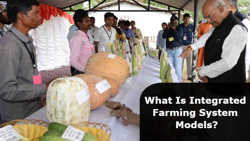 How Integrated Farming Helps In Increasing the Farmer’s Income