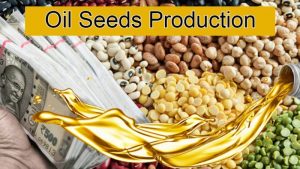 In Budget 2021 Plans to Increase in The Production Of Oil Seeds