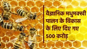 वैज्ञानिक मधुमक्खी पालन के विकास के लिए दिए गए ५०० करोड़