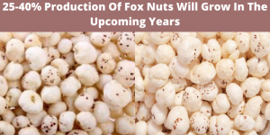 Demand Of Fox Nuts (Makhana) Products Will Rise In Next Three Years