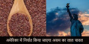 भारत से अमेरिका निर्यात हुआ ‘लाल चावल’
