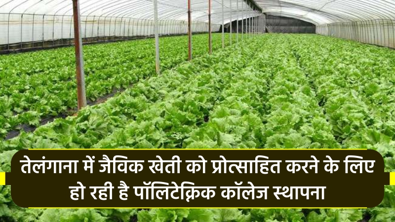 तेलंगाना में  जैविक खेती को प्रोत्साहित करने के लिए हो रही है पॉलिटेक्निक कॉलेज स्थापना