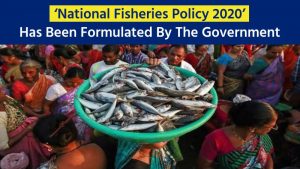 Invitation To Stakeholders To Comments On National Fisheries Policy