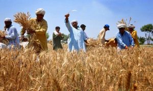 पंजाब अप्रैल से किसानों के लिए प्रत्यक्ष बैंक हस्तांतरण (डीबीटी) को लागू करने के लिए सहमत है