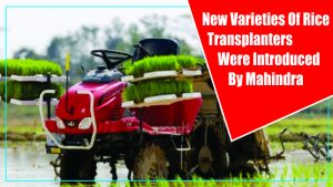 New Varieties Of Rice Transplanters Were Introduced By Mahindra