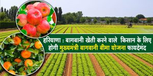 मुख्यमंत्री बागवानी बीमा योजना से किसानों को होगा लाभ
