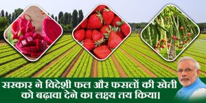 भारत में २० स्वदेशी लोकप्रिय विदेशी फल फसलों को बढ़ावा दिया जाएगा