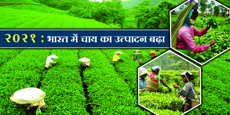टाई द्वारा अनुमानित चाय उधोग में उत्पादन की मांग बढ़ी।
