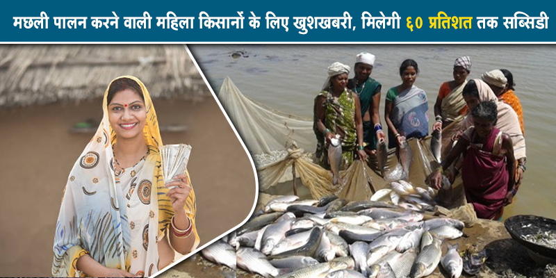 पंजाब सरकार मछली पालन करने वाली महिलाओं को ६० प्रतिशत सब्सिडी प्रदान कर रही है