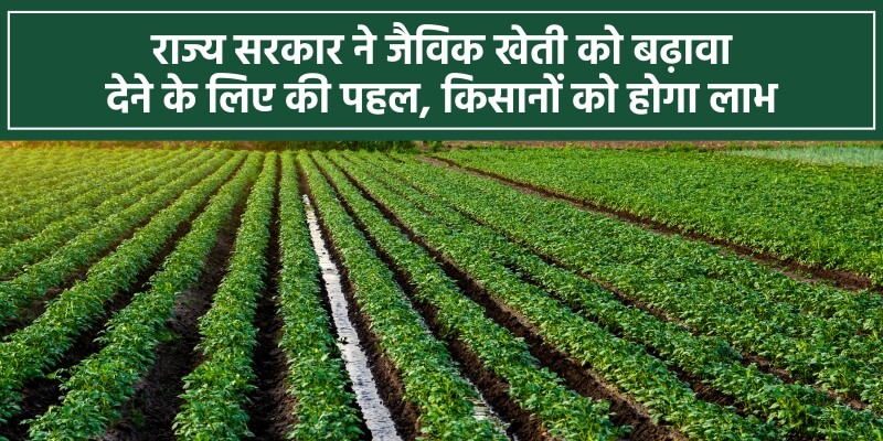 जैविक खेती के लिए केंद्र सरकार की तरफ से हुई बड़ी पहल, किसानों को प्रोत्साहित कर रही सरकार