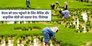 केरल को लाभ पहुंचाने के लिए जैविक और प्राकृतिक खेती को बढ़ावा देना: विशेषज्ञ