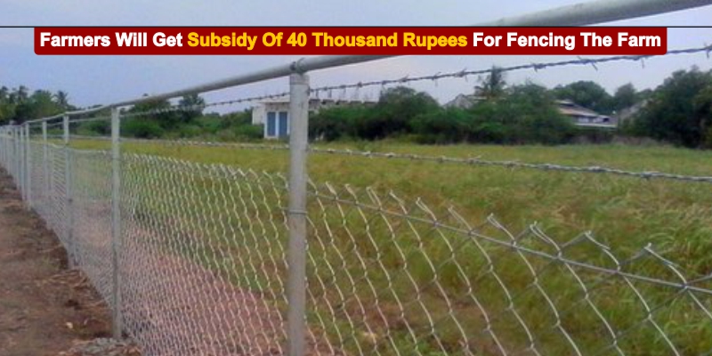 Farmers Will Get Subsidy Of 40 Thousand Rupees For Fencing The Farm