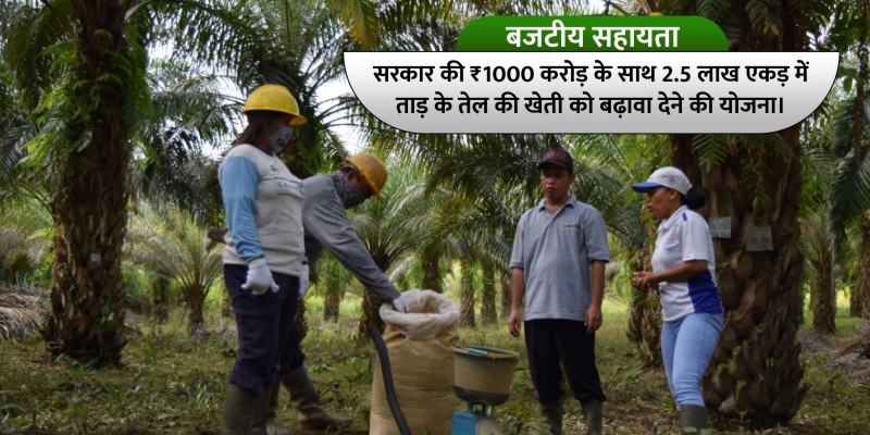 सरकार की ₹1000 करोड़ के साथ 2.5 लाख एकड़ में ताड़ के तेल की खेती को बढ़ावा देने की योजना।