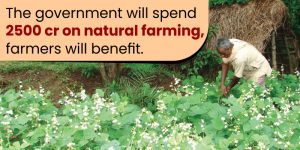 The government will spend 2500 crores on natural farming, farmers will benefit.
