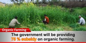 The government will be providing a 75 % subsidy on organic farming.