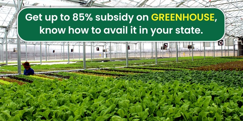 Get up to 85% subsidy on Greenhouse, know how to avail it in your state.