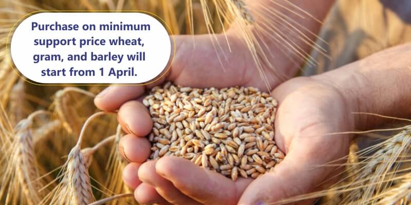 Purchase on Minimum Support Price: Purchase of wheat, gram and barley will start from 1 April.