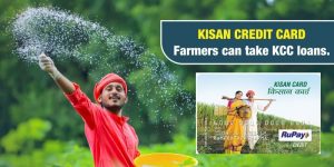 Farmers can take KCC loans for different works with a Kisan credit card.