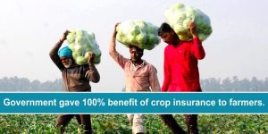 Crop Insurance Scheme: Government gave 100% benefit of crop insurance to farmers.