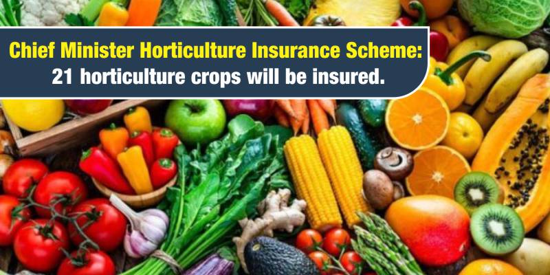 Chief Minister Horticulture Insurance Scheme: 21 horticulture crops will be insured, know full information.