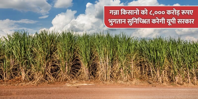 यूपी सरकार अगले 100 दिनों में गन्ना किसानों को 8,000 करोड़ रुपये का भुगतान सुनिश्चित करेगी।