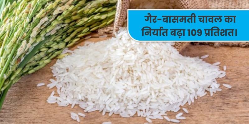 गैर-बासमती चावल का निर्यात 109 प्रतिशत बढ़ा।