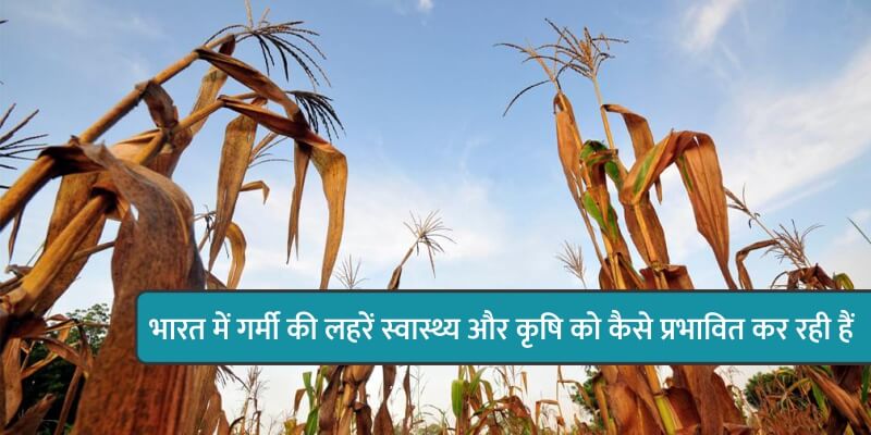 भारत में गर्मी की लहरें स्वास्थ्य और कृषि को कैसे प्रभावित कर रही है।