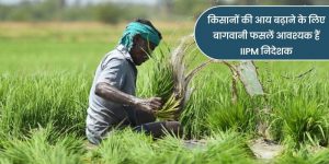 IIPM निदेशक का कहना है कि किसानों की आय बढ़ाने के लिए बागवानी फसलें आवश्यक हैं।